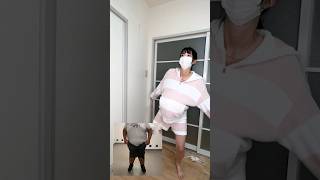 ゆっさゆっさ #shorts #short #tiktok #youtubeshorts #shortsfeed