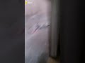 【大事故】風の威力 【大事故】風の威力