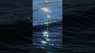 儚い詩をかきました。未来消失日記　 #歌詞動画 #おすすめ#オリジナル曲