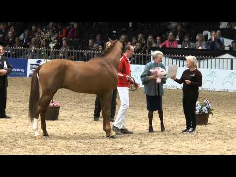 Maik Kohlschmidt   D'avie