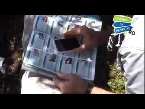 Catalogul Cazarelapensiune.ro