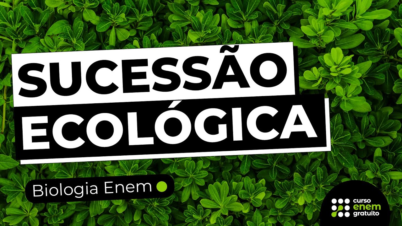 SUCESSÃO ECOLÓGICA | Resumo de Biologia para o Enem