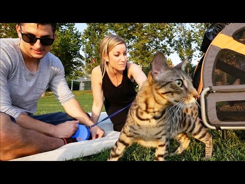 RELEASING OUR CATS INTO THE WILD!!!