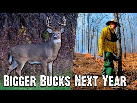 Deer Season's Over.. Here's How to Get Bigger Bucks Next Year! (853)