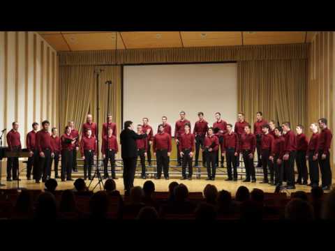 SOZVOČENJA 2016 – Ljubljana, PRIMORSKI AKADEMSKI ZBOR VINKO VODOPIVEC, BORI