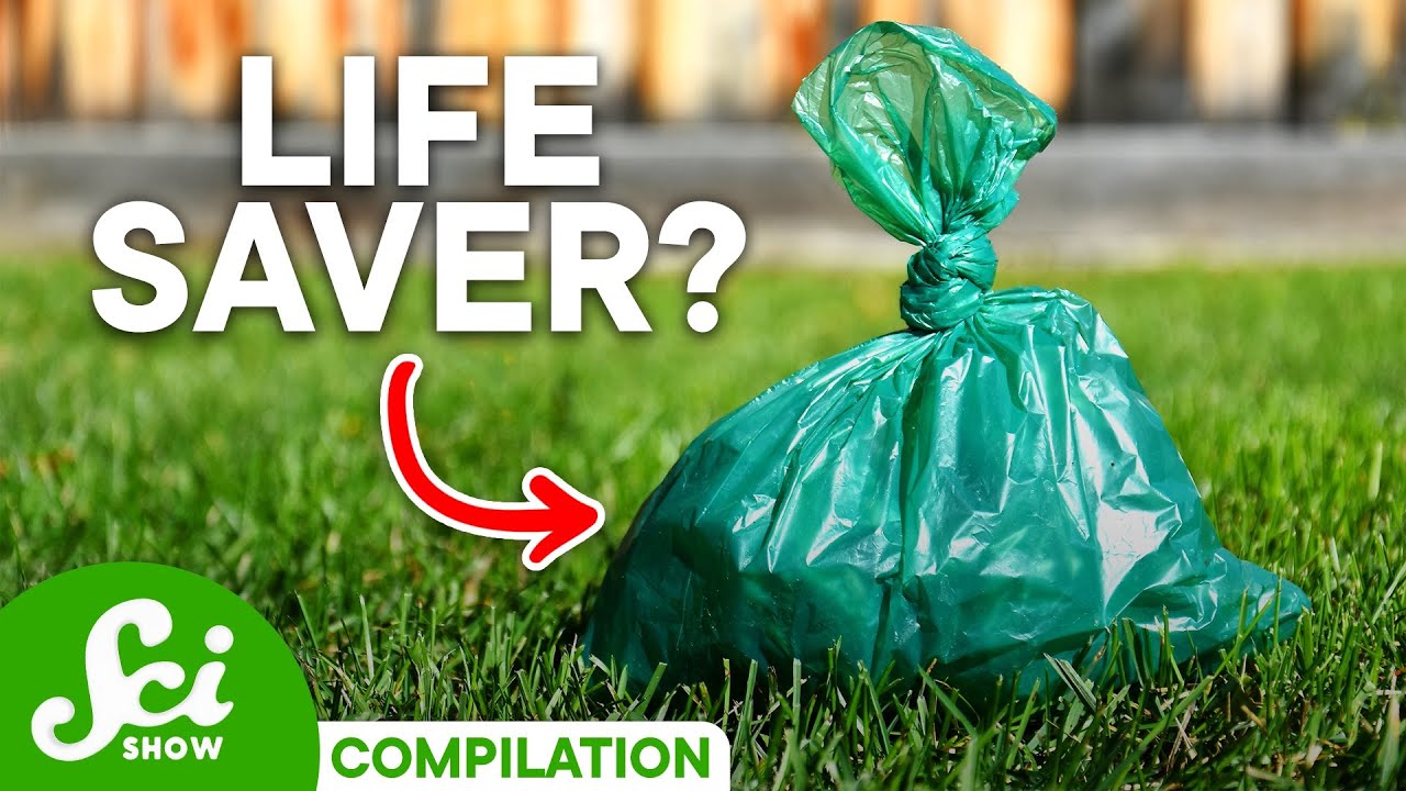 7 Ways That Poop Can Save Lives