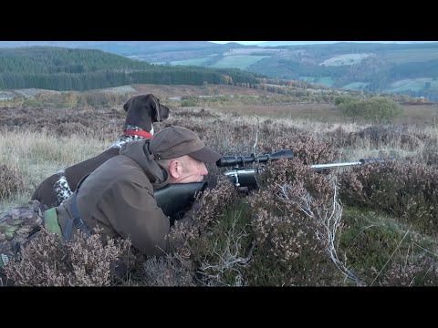 The Shooting Show - Last of the Stag hunts in the Kinnaird Estate