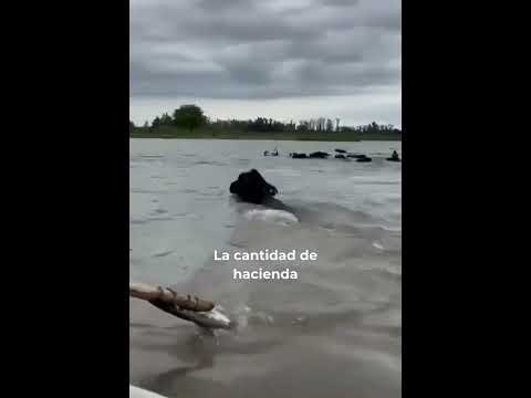 Inundaciones en el Litoral: la crecida del río Paraná cortó rutas en Chaco y la isla del cerrito