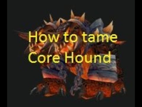 Wow Hunter Pet How To Tame Core Hound