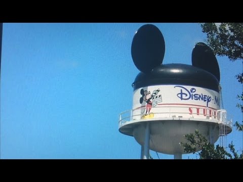 TDW 1400 - My Favorite Theme Park is Gone