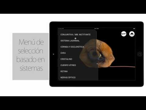 Ophthalmology in Dogs (Free) Video