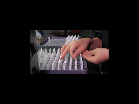 The Sustainability Trend: Iridium Spark Plugs and the Push for More Eco-Conscious Manufacturing