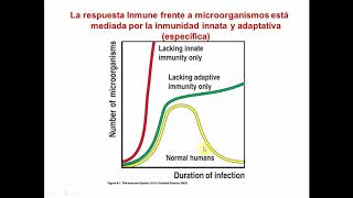 Sistema inmune (Parte 2) - Biología Celular y Tisular