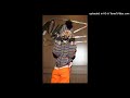 Leak Lil Uzi Vert McDonalds Supercalifragilisticexpialidocious