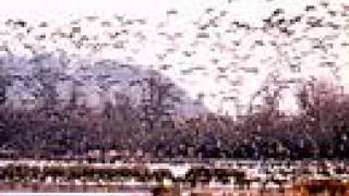 To Autumn - John Keats