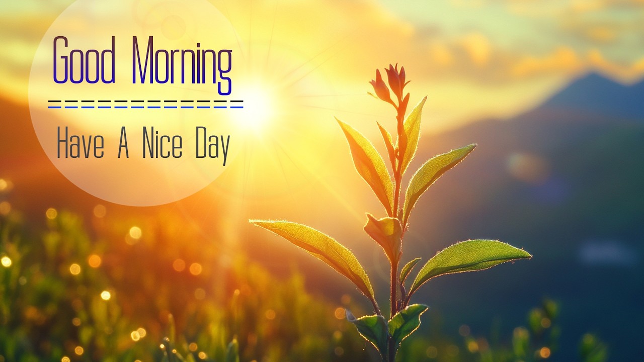 MORNING RELAXING MUSIC - Euphoric Positive Energy & Therapy Stress Relief - Morning Meditation Music