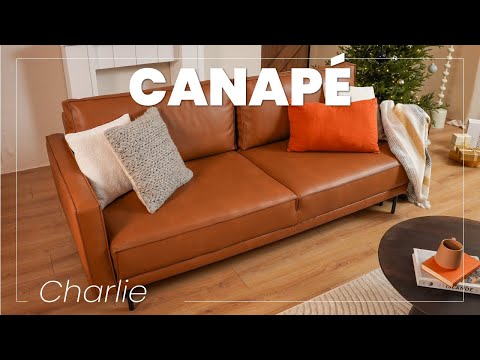 Miniature de la vidéo YouTube