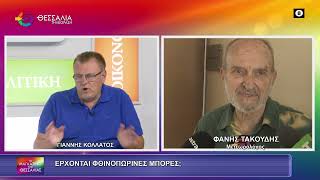 ΒΡΟΧΕΡΟ ΣΑΒΒΑΤΟΚΥΡΙΑΚΟ ΣΤΗ ΘΕΣΣΑΛΙΑ ΜΕ ΜΠΟΥΡΙΝΙΑ ΣΕ ΟΡΕΙΝΑ ΤΡΙΚΑΛΩΝ, ΕΛΑΣΣΟΝΑ, ΦΑΡΣΑΛΑ 10 09 2026 ΒΡΟΧΕΡΟ ΣΑΒΒΑΤΟΚΥΡΙΑΚΟ ΣΤΗ ΘΕΣΣΑΛΙΑ ΜΕ ΜΠΟΥΡΙΝΙΑ ΣΕ ΟΡΕΙΝΑ ΤΡΙΚΑΛΩΝ, ΕΛΑΣΣΟΝΑ, ΦΑΡΣΑΛΑ 10 09 2026