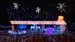 VLOG: candy cane lane christmas lights 🎄✨🌴 | Greta Onieogou