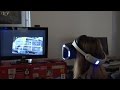 Playstation VR op de Redactie!