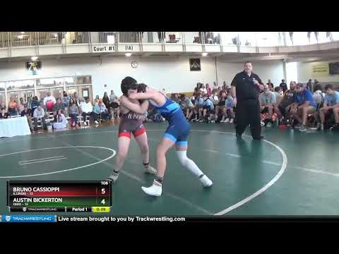 106 Lbs Round 1 (8 Team) - Bruno Cassioppi, Illinois Vs Austin Bickerton, Ohio 9154