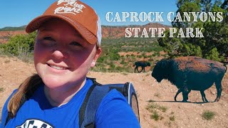 The BISON Were So Close!! My First Time at CAPROCK CANYONS STATE PARK -ROAD TRIP Pt 1
