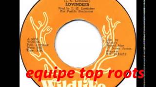 LOVINDEER  the  blinking  bus (sequencia top roots)