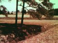 This Land