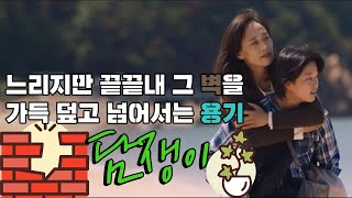 담쟁이 - 사회적 약자들을 위한 첫 번째 '목소리'가 되어주길