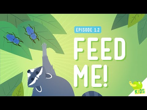 Feed Me: Classifying Organisms