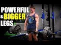 Leg Workout for Bigger & More Powerful Thighs