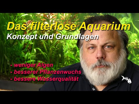 Das filterlose Aquarium, Grundlagen & Wirkungsweise - Konzept für weniger Probleme mit dem Aquarium
