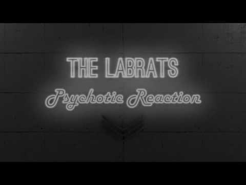 The Labrats - Psychotic Reaction