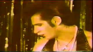 the cramps -  Dames, Booze, Chains and Boots