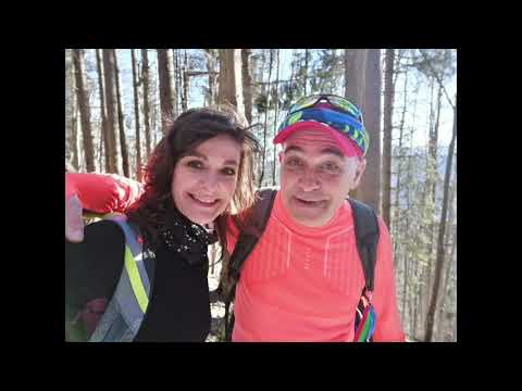 Gara AZUGA - vf. GRECULUI - cab. DIHAM - pichetul ROSU (ursul) - saua BAIULUI - cab. GURA DIHAM