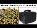 Destroying A Dangerous Yellow Jacket Nest With Ozone Gas Mousetrap Monday