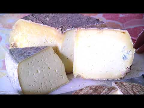 GUSTO channel: Terre Sapori e Vini - Sapori di Coazze e Giaveno