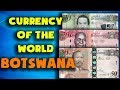 Currency of the world - Botswana. Botswana pula. Exchange rates Botswana.Botswana banknotes