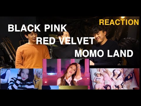 Korean Guys React to K-POP Female Idols (BLACK PINK, RED VELVET, MOMO LAND)