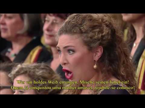 9ª Sinfonia Ode A Alegria - An die Freude-