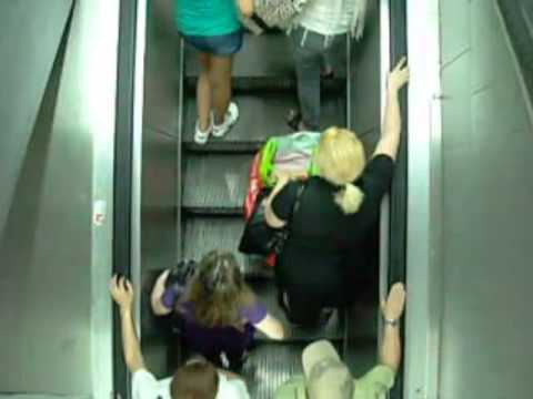 Doleips - Paseo Inmoral (Gustavo Cerati Cover)