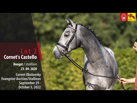 Cornet Obolensky Youngster Auction Lot 02 Cornet's Castello Hengst v. Captain Fire - Kannan