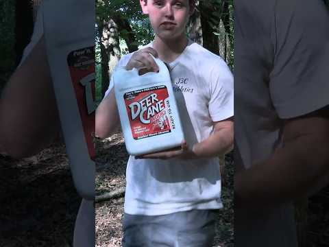 Is the BEST deer attractant?? #deer #deerhunting #hunting #outdoors #scouting #shorts
