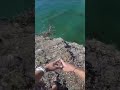 Videos that will give you adrenaline rush