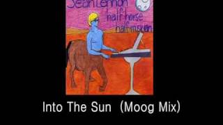 Into The Sun (moog mix) - Sean Lennon