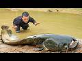 Dwarf Family Unexpectedly Discovers a Giant Catfish While Fishing | Primitive Life