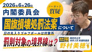 【国民民主党 野村美穂 質疑】26/6/26国旗損壊処罰法案について質問しました