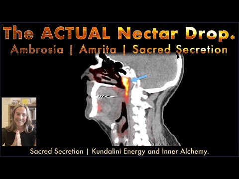 Nectar of the Gods - Ambrosia and Amrita of Immortality - Hypothalamus and Sacred Secretion