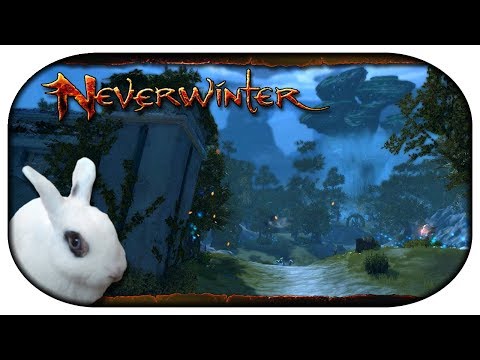 NEVERWINTER: Paladin-LP 🐇 125 - Der Harry Potter-Gedächtniswald