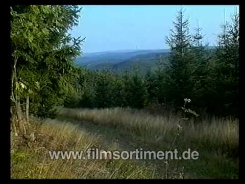 Geografie/ Heimatkunde: VON DER SAALE ZUM RENNSTEIG (DVD / Vorschau)